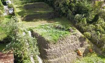 Imagem: Imóvel para venda com 1010 metros quadrados