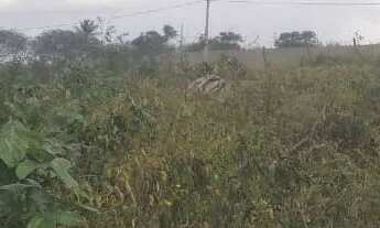 Imagem 3: Lote para mini sitio