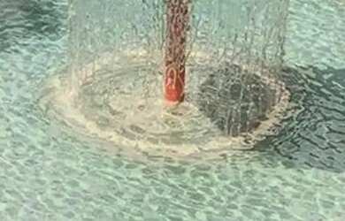 Imagem 3: Vendo agio de lote/terreno com 461 m² no condominio Portal do Sol Noronha