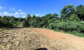 Imagem 3: Área rural 23.373m² Balsa Nova- 3Km Rod. PR-510, 10Km Campo Largo, doc 100