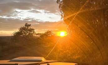 Imagem 4: Beira do rio São Francisco (terreno