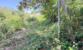 Imagem 6: Vendo chacara com 30.000m2 com plator na pedra e vista para o mar, vila velha e guarapari