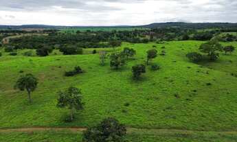 Imagem 3: Chácara 20.000m², Energia, Terra de Cultura, Cercada, Apenas 6km de Aragoiânia
