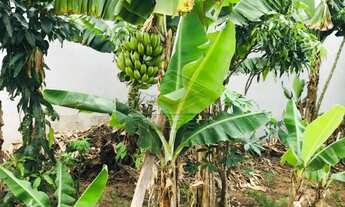 Imagem 5: Casa Padrão em Bauru