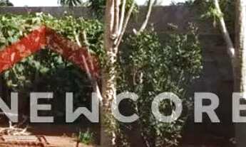 Imagem 7: Chácara em Área Rural - Área Rural de Uberlândia - Uberlândia/MG