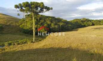 Imagem 5: Sítio em Interior - Interior - Zona Rural - São Francisco de Paula/RS