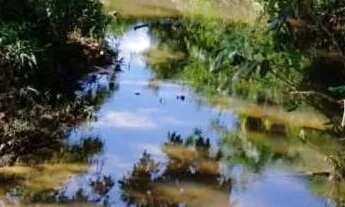 Imagem 4: Chacara em cezarina - 1.17 alquires