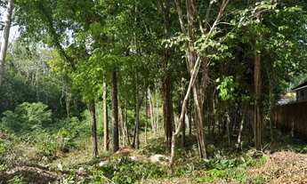 Imagem 6: Fazenda Real- Excelente terreno