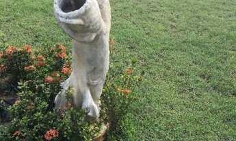 Imagem 4: Imovel no Jardim Monte Cristo