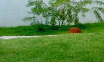 Imagem: Kitnet (Studio) mobiliada locação para