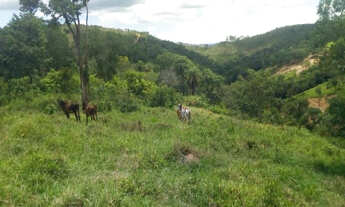 Imagem 6: Excelente oportunidade terreno rural de 13 hectares, Jaboticatubas(Temos varias opções