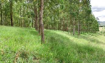 Imagem 3: Glebas 30.000m2 em Lambarí, sul de Minas - Viés conservacionista!