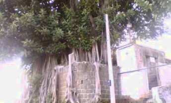 Imagem 3: Terreno em Medianeira