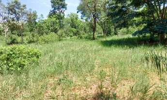 Imagem 6: Chácara a Venda saída pra Rochedo