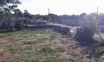 Imagem 3: Terreno em Piratini