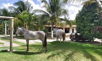 Imagem 6: FAZENDA RURAL em SALVADOR - BA, HORTO FLORESTAL