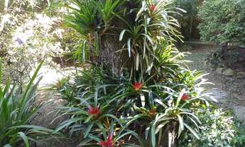 Imagem 7: SÍTIO COM CASA 13 DORMITÓRIOS SENDO 6 SUÍTES, 10 VAGAS, BAIRRO BELÉM NOVO, PORTO ALEGRE, R