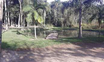 Imagem: URUSSANGA - Sítio - Barro preto