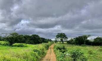 Imagem 7: Excelente propriedade localizada cerca de 45km de Araguaína/To, as margens da rodovia TO22