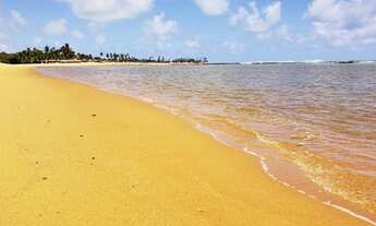 Imagem: Vendo Terreno 432 m² Corais do Sonho Verde