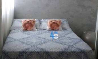 Imagem 2: Casa com 2 dormitórios à venda, 45 m² por R$ 220.000,00 - Parque Ecológico - Porto Seguro