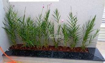 Imagem 7: Cobertura com 2 dormitórios c/ 01 suite à venda, 96 m² A partir de R$ 400.000 - Parque Or