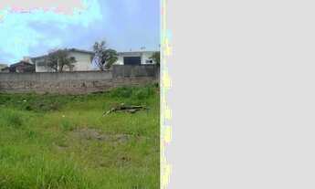 Imagem 4: CRICIúMA - Terreno Padrão - Cruzeiro do Sul