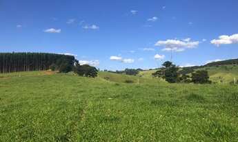 Imagem 5: Terreno 20.000 M² PÉ NA ÁGUA / Piracaia
