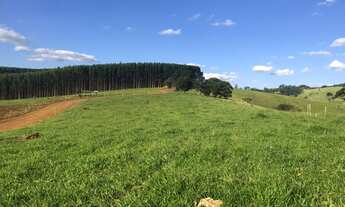 Imagem 3: Terreno 20.000 M² PÉ NA ÁGUA / Piracaia