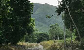 Imagem 4: LINDA ÁREA COM 42.000 METROS COM VIABILIDADES NA BEIRA DA BR-101 - PALHOÇA