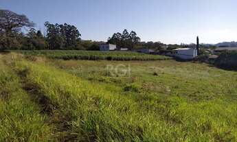 Imagem 2: Area em Campo Novo