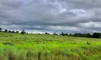 Imagem 4: Excelente propriedade localizada cerca de 45km de Araguaína/To, as margens da rodovia TO22