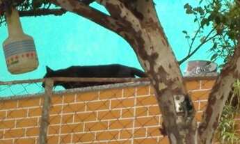 Imagem 2: Aluguel Quarto com aluguel por R$600 /mês