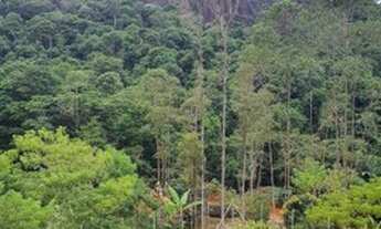Imagem 7: Alugo casa em lindo sitio,santa teresa
