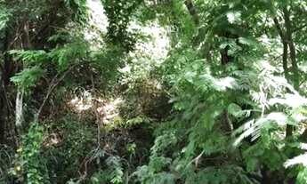 Imagem 2: Junto ao verde, 2 quartos e salão, original 3 quartos indevassáveis