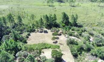 Imagem 4: Terreno em Pinheira - Palhoça