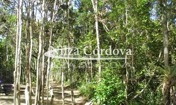 Imagem 5: Terreno a 4 km do centro de Arraial d' Ajuda