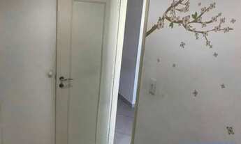 Imagem 6: COMERCIAL - MOEMA PÁSSAROS - SP