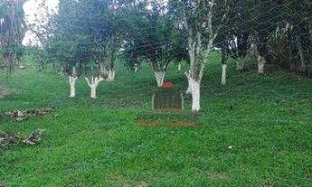 Imagem 7: Chácara com 1 dormitório à venda, 6400 m² por R$ 380.000,00 - Sobrado - São José dos Campo