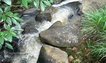 Imagem 5: Terrenos e ou casa na roça