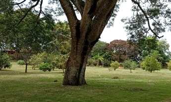 Imagem 2: Cabreúva - Chácara - Pinhal