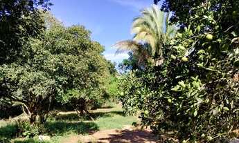 Imagem 4: Sítio 4,0 alqueires com muita água, Monte Alegre de Minas MG