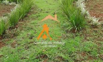Imagem: Ótimo terreno, plano e bem localizado e