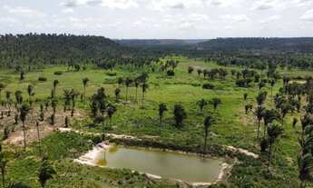 Imagem 2: FAZENDA PERITORÓ 448 HECTARES