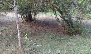 Imagem: Sitio a venda