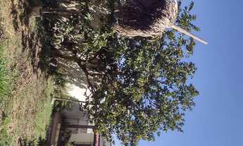 Imagem 2: Casa para aluguel tem 360 metros quadrados com 3 quartos em Filadélfia - Betim - MG