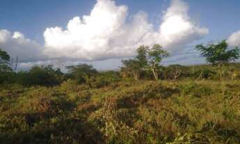 Imagem 6: Terreno com 98 Tarefas