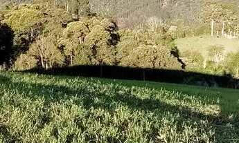 Imagem 3: Vende lindo lote com água luz