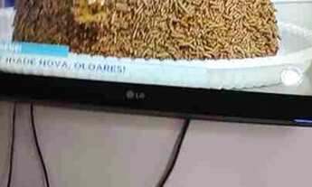 Imagem 7: Seu cantinho fora de casa