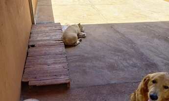 Imagem 2: Alugo Casa no Santa Cecilia Andradina-Sp